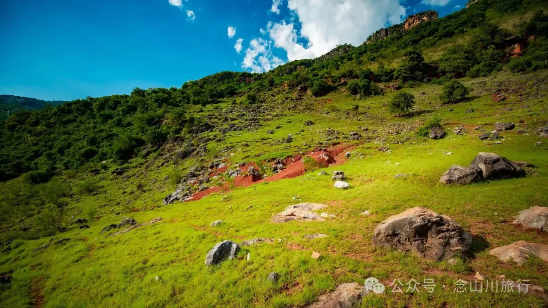 大理巍山橄榄坡：夕阳给这片雨后草甸镀金的限时美景，绿到心坎里 - 第14张