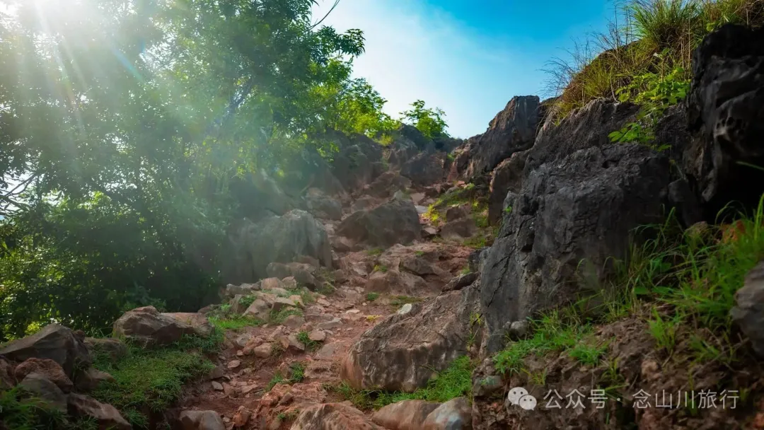 大理巍山橄榄坡：夕阳给这片雨后草甸镀金的限时美景，绿到心坎里 - 第15张