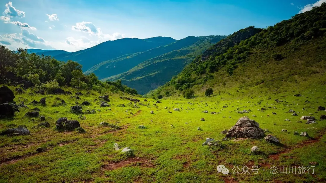 大理巍山橄榄坡：夕阳给这片雨后草甸镀金的限时美景，绿到心坎里 - 第16张