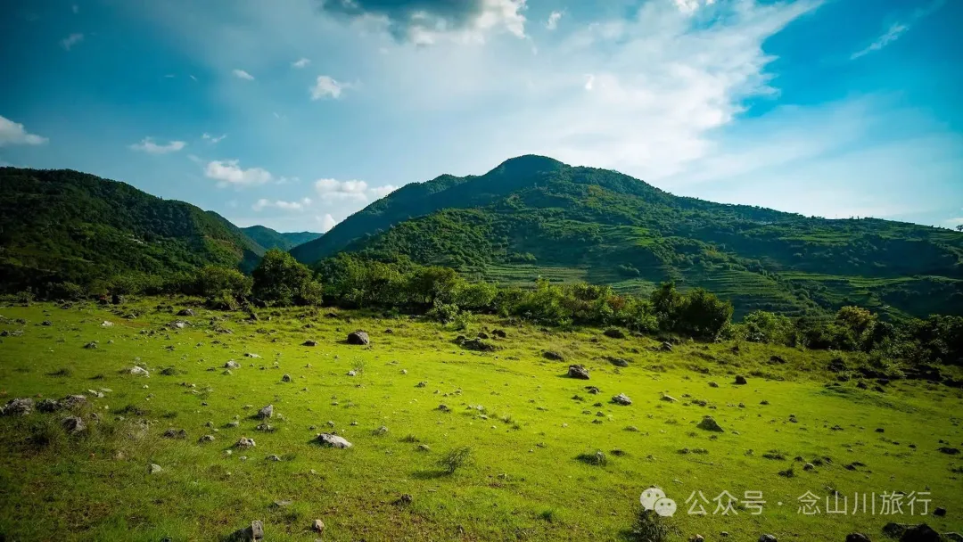 大理巍山橄榄坡：夕阳给这片雨后草甸镀金的限时美景，绿到心坎里 - 第17张