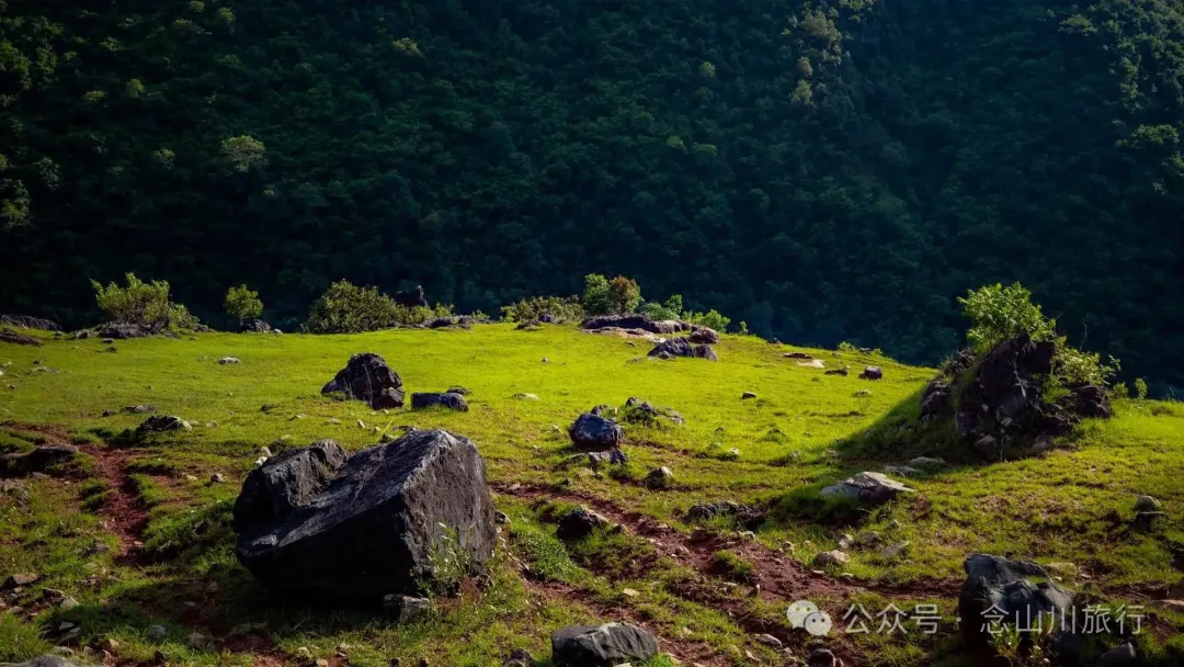 大理巍山橄榄坡：夕阳给这片雨后草甸镀金的限时美景，绿到心坎里 - 第18张