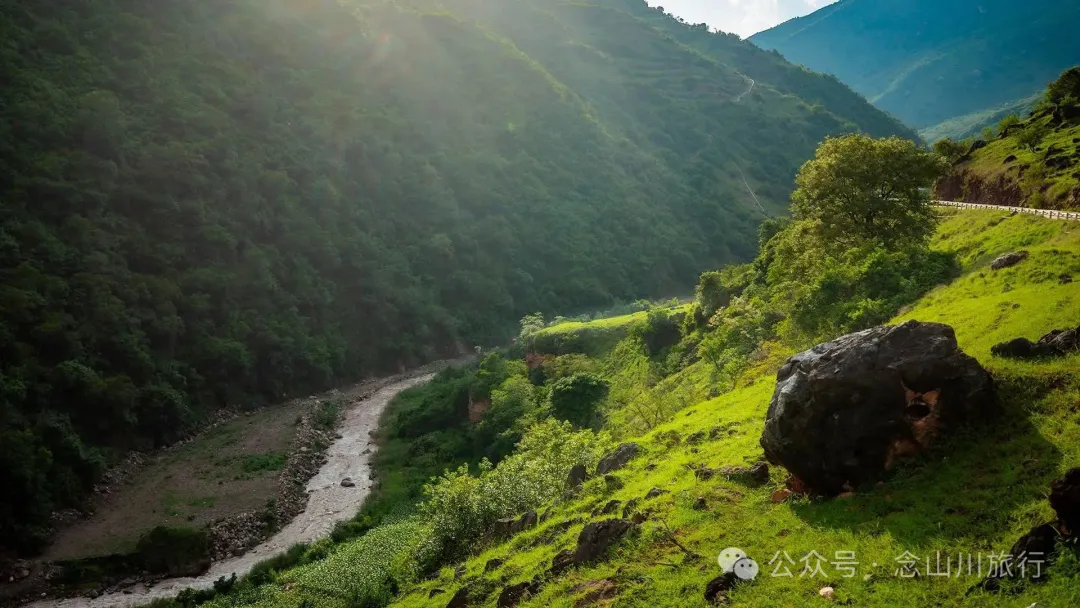 大理巍山橄榄坡：夕阳给这片雨后草甸镀金的限时美景，绿到心坎里 - 第19张