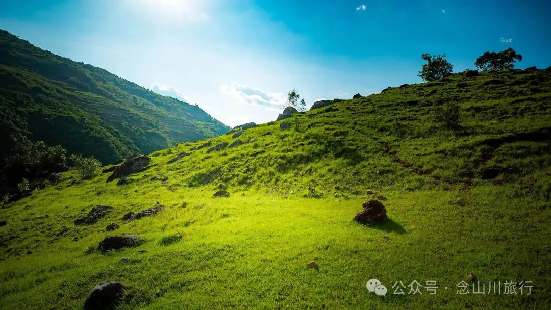 大理巍山橄榄坡：夕阳给这片雨后草甸镀金的限时美景，绿到心坎里 - 第2张