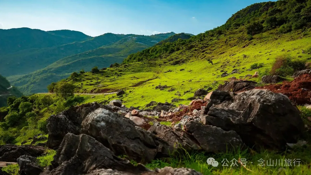大理巍山橄榄坡：夕阳给这片雨后草甸镀金的限时美景，绿到心坎里 - 第21张