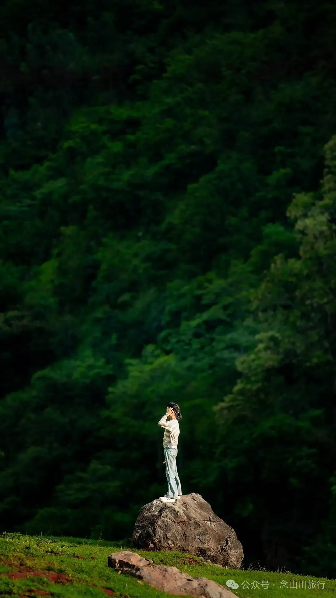 大理巍山橄榄坡：夕阳给这片雨后草甸镀金的限时美景，绿到心坎里 - 第23张