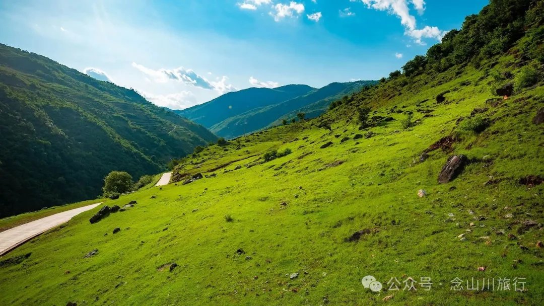 大理巍山橄榄坡：夕阳给这片雨后草甸镀金的限时美景，绿到心坎里 - 第5张