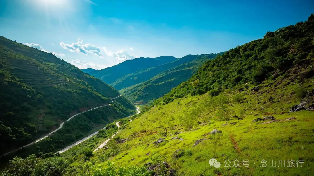 大理巍山橄榄坡：夕阳给这片雨后草甸镀金的限时美景，绿到心坎里 - 第6张