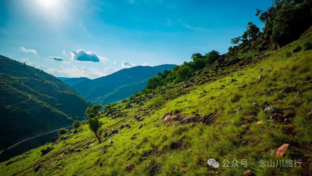 大理巍山橄榄坡：夕阳给这片雨后草甸镀金的限时美景，绿到心坎里 - 第7张