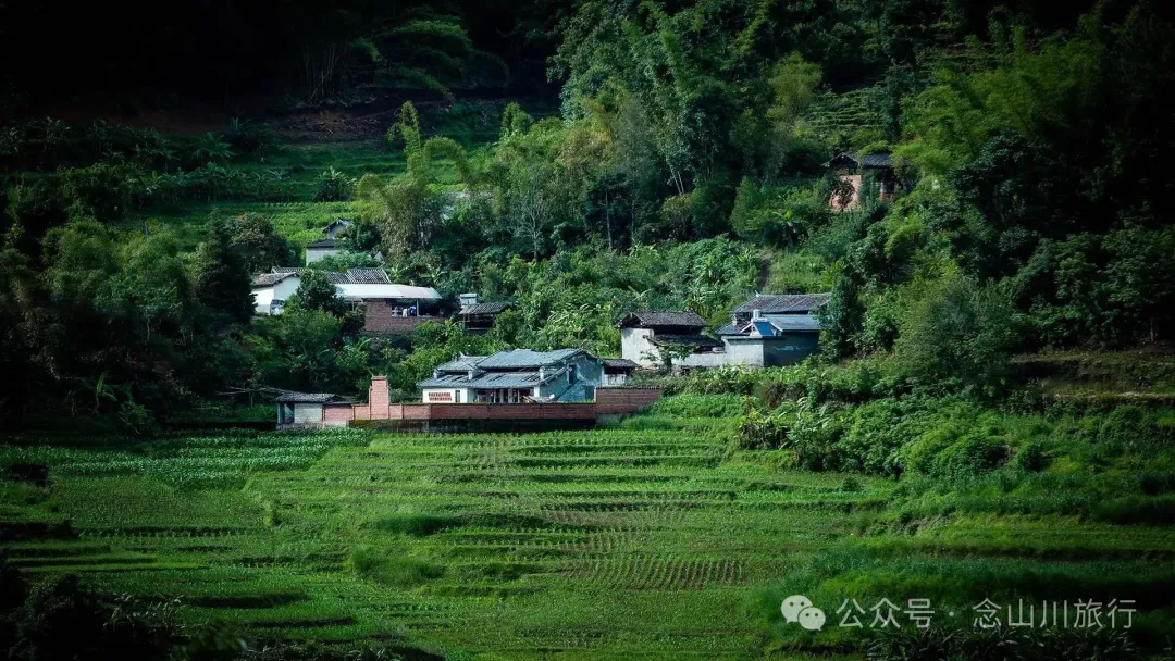 Jianshui Group, Sanying Village, Dajie Town, Jingdong, Pu’er: A Slow Mountain Life Written by Tea and Pottery in the Ailao Mountains - Image 2 - 大理旅行 Jianshui Group, Sanying Village, Dajie Town, Jingdong, Pu’er: A Slow Mountain Life Written by Tea and Pottery in the Ailao Mountains - Image 2