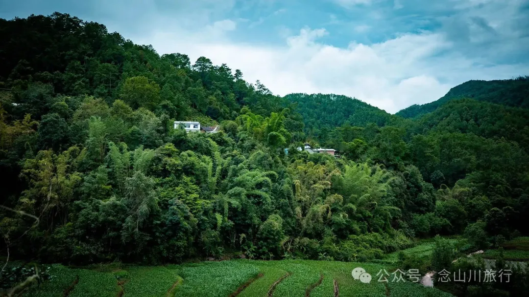 Jianshui Group, Sanying Village, Dajie Town, Jingdong, Pu’er: A Slow Mountain Life Written by Tea and Pottery in the Ailao Mountains - Image 3 - 大理旅行 Jianshui Group, Sanying Village, Dajie Town, Jingdong, Pu’er: A Slow Mountain Life Written by Tea and Pottery in the Ailao Mountains - Image 3