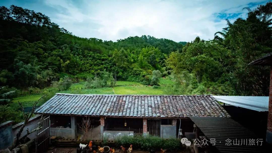 Jianshui Group, Sanying Village, Dajie Town, Jingdong, Pu’er: A Slow Mountain Life Written by Tea and Pottery in the Ailao Mountains - Image 7 - 大理旅行 Jianshui Group, Sanying Village, Dajie Town, Jingdong, Pu’er: A Slow Mountain Life Written by Tea and Pottery in the Ailao Mountains - Image 7