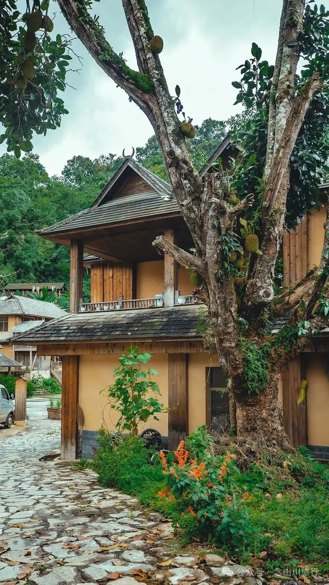 普洱澜沧景迈山芒埂寨：佛寺不语，榕树轻摇，时光在此皈依 - 第23张