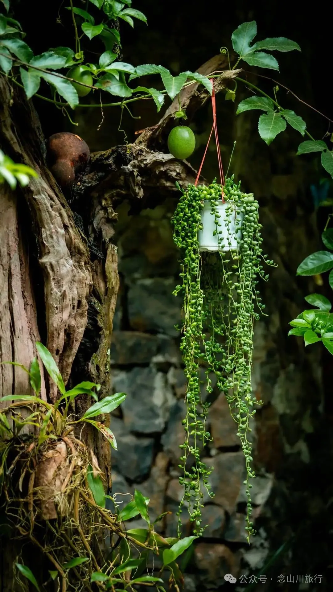 普洱景東陶緣居土陶製作技藝非遺工坊：鄉愁是待燒的陶坯，理想是第四道茶湯 - 第16張