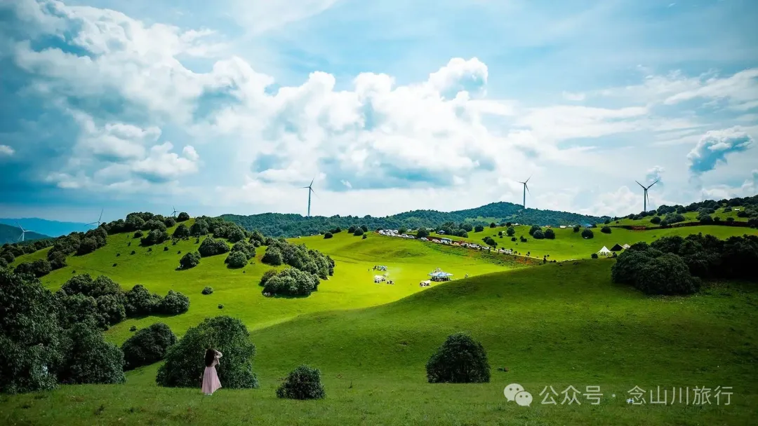 大理宾川杨柳村草甸：当游客挤满大理古城时，我们却闯入了宫崎骏忘记收笔的夏天 - 第10张