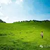 大理宾川杨柳村草甸：当游客挤满大理古城时，我们却闯入了宫崎骏忘记收笔的夏天