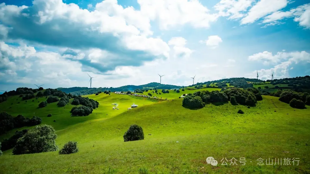 大理最适合野营的高山草甸,让孩子像山风一样自由自在 - 第13张