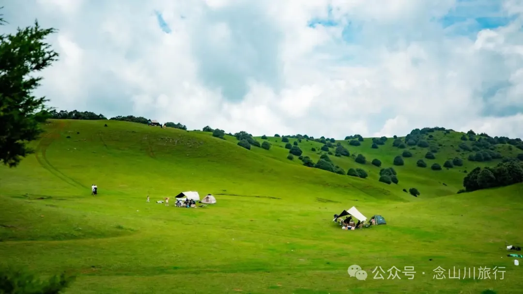 大理最适合野营的高山草甸,让孩子像山风一样自由自在 - 第14张