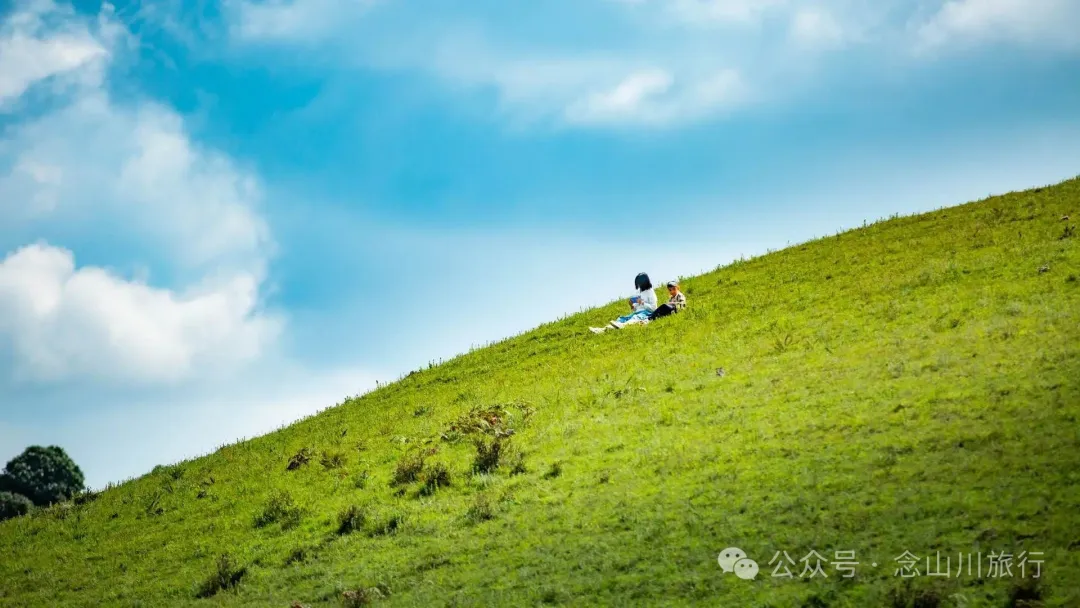 大理最适合野营的高山草甸,让孩子像山风一样自由自在 - 第18张