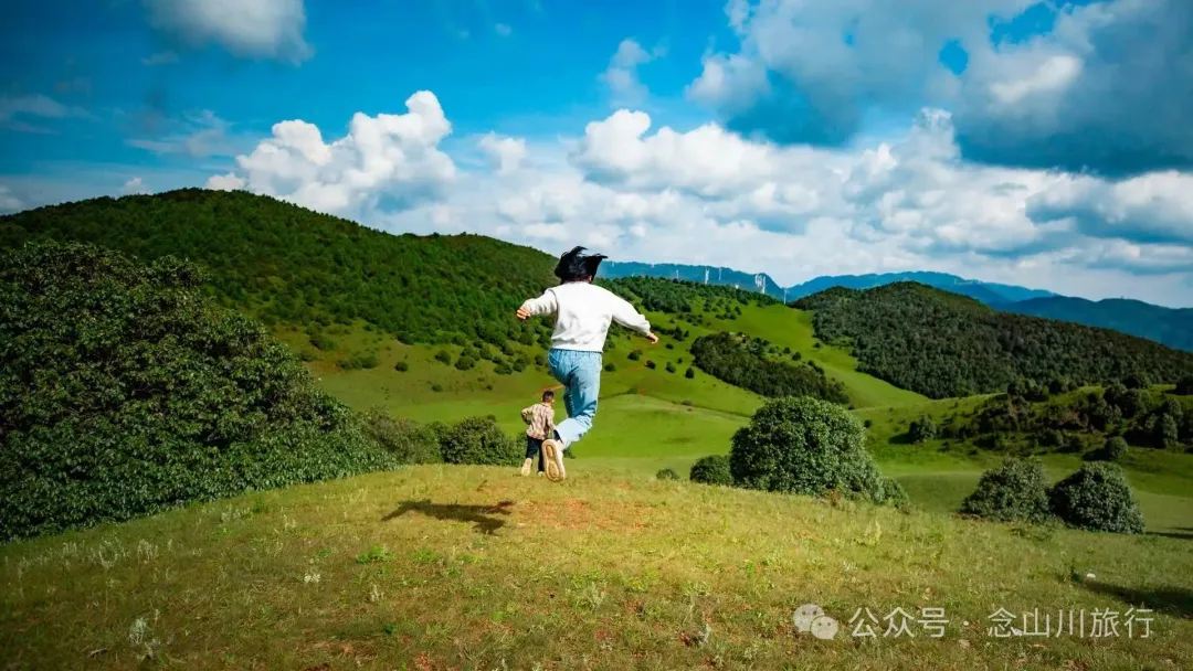 大理最适合野营的高山草甸,让孩子像山风一样自由自在 - 第23张