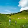 大理最适合野营的高山草甸,让孩子像山风一样自由自在