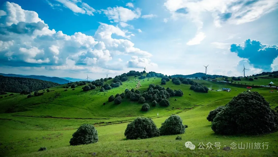 大理最适合野营的高山草甸,让孩子像山风一样自由自在 - 第28张