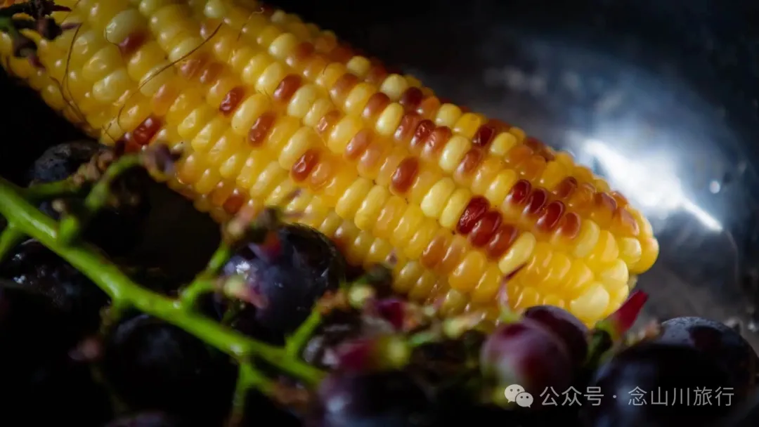 鲜透整个雨季!大禾里村的野生菌开席了 - 第15张