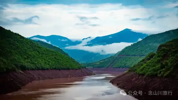 “你有没有见过萤火虫?”——黑惠江畔的露营之夜改写了他们的童年