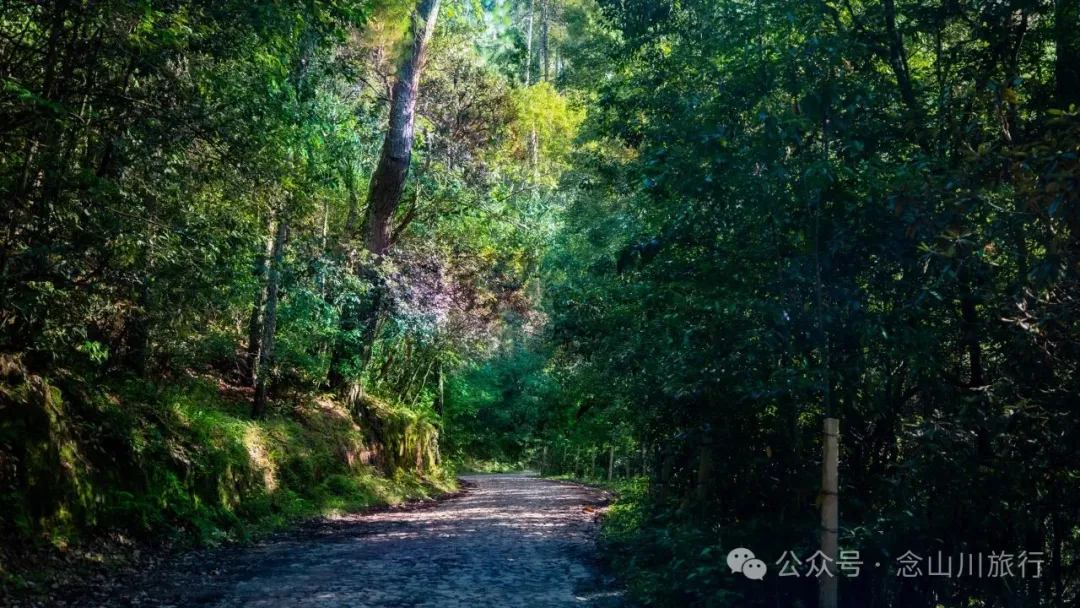 大理云龙大浪坝：暮光沉入草甸的瞬间，银河以肉眼可见的密度倾泻 - 第4张
