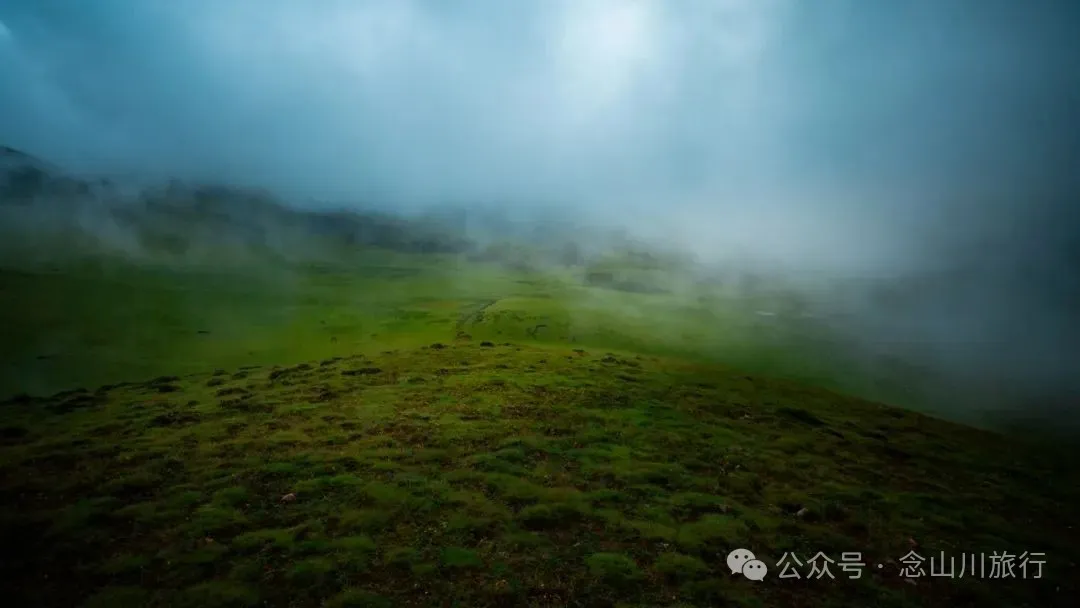 徒步大理洱源鸟吊山：99%的攻略止于湖边，真正的“阿勒泰”藏在看不见的深山里 - 第39张