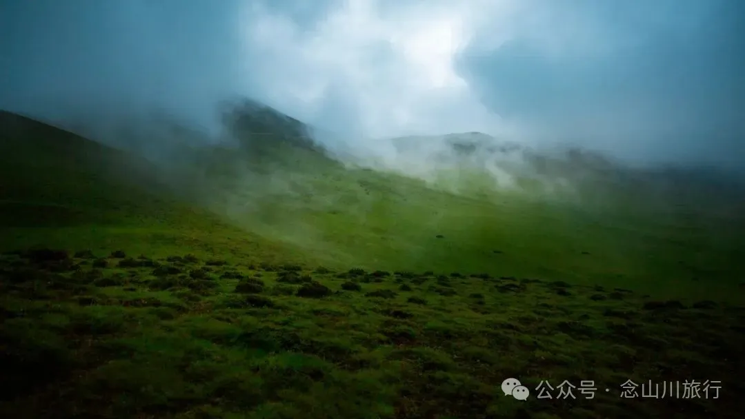 徒步大理洱源鸟吊山：99%的攻略止于湖边，真正的“阿勒泰”藏在看不见的深山里 - 第40张