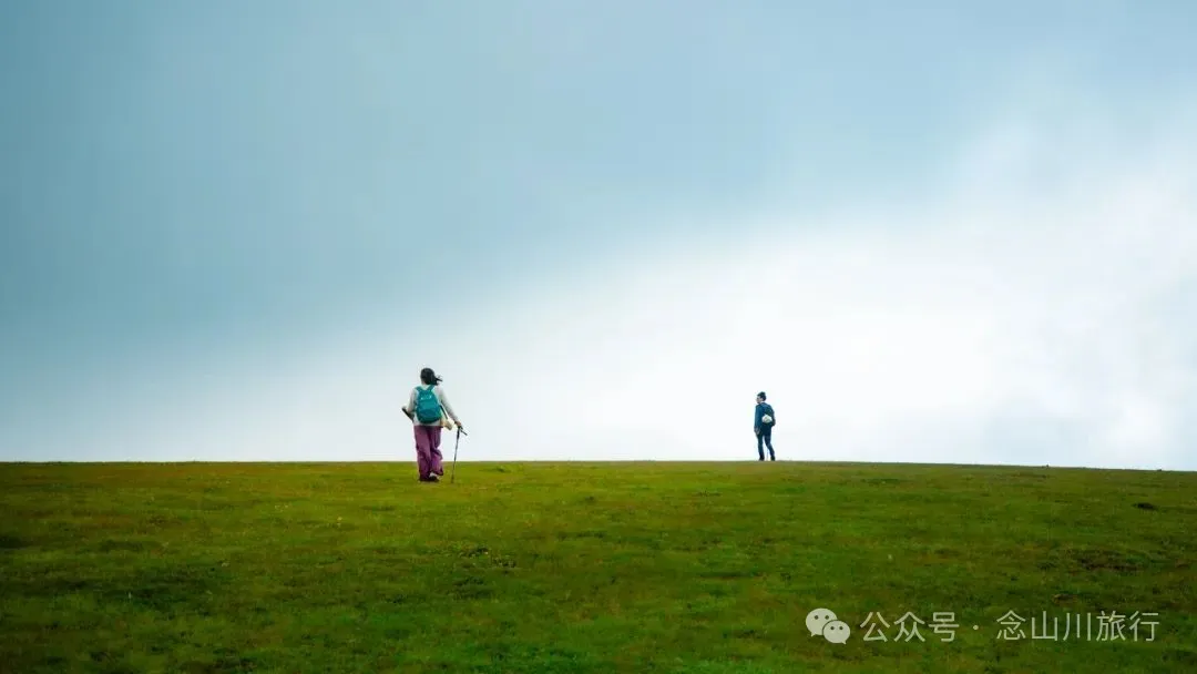 徒步大理洱源鸟吊山：99%的攻略止于湖边，真正的“阿勒泰”藏在看不见的深山里 - 第43张