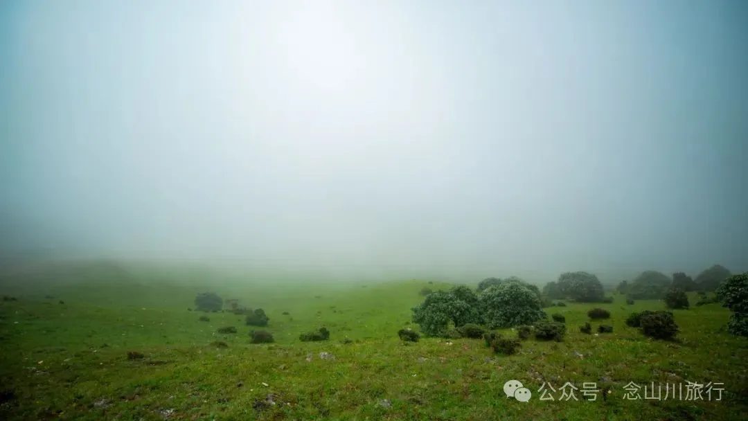 徒步大理洱源鸟吊山：99%的攻略止于湖边，真正的“阿勒泰”藏在看不见的深山里 - 第5张