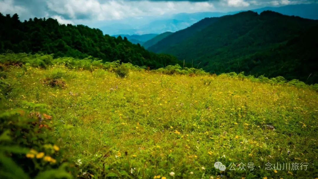 巍弥线-沙帽山的山景风光:风车是云雾的时针,草甸是山峦的柔软衬里 - 第12张