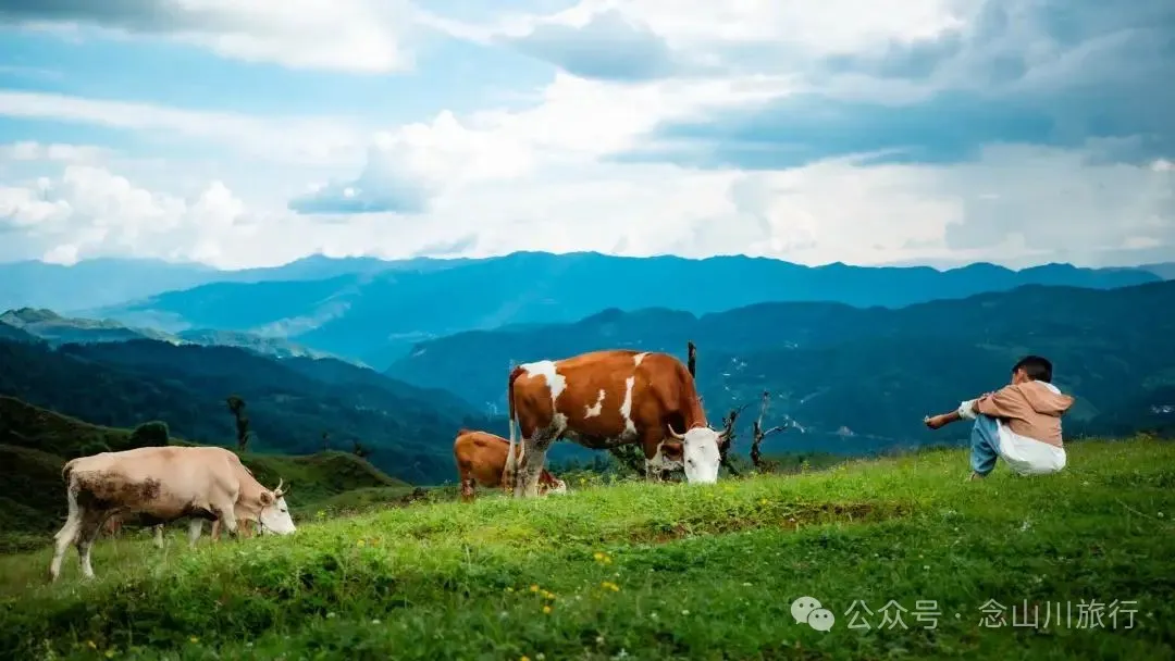 大理南澗無量山大草甸:小眾秘境的露營之夜,獨享整片山野與星空 - 第16張