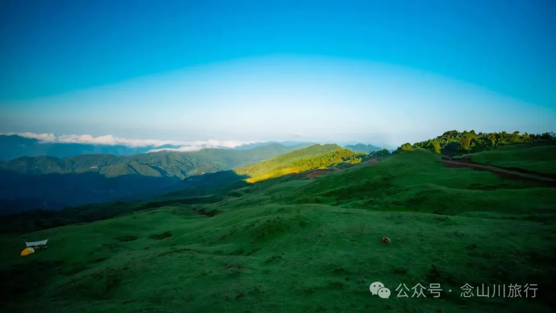 大理南涧百花村大草甸清晨的绝美时刻,是露水与晨曦写的无声诗 - 第12张