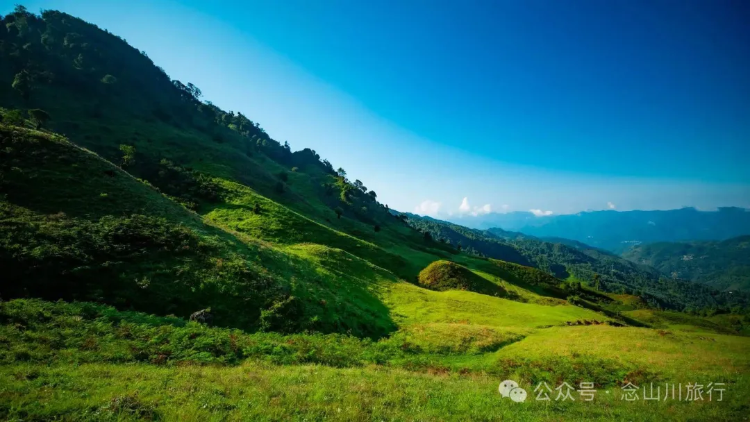 大理南涧百花村大草甸清晨的绝美时刻,是露水与晨曦写的无声诗 - 第13张