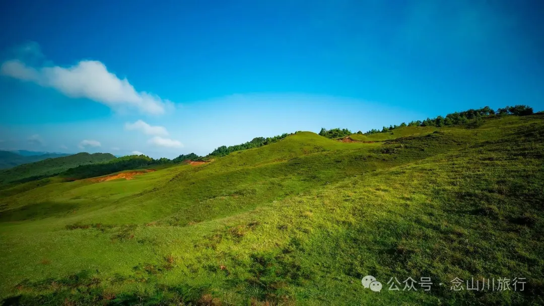 大理南涧百花村大草甸清晨的绝美时刻,是露水与晨曦写的无声诗 - 第14张