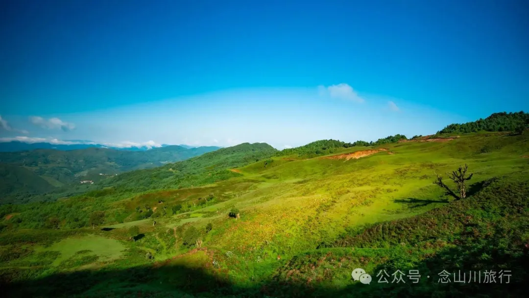 大理南涧百花村大草甸清晨的绝美时刻,是露水与晨曦写的无声诗 - 第16张