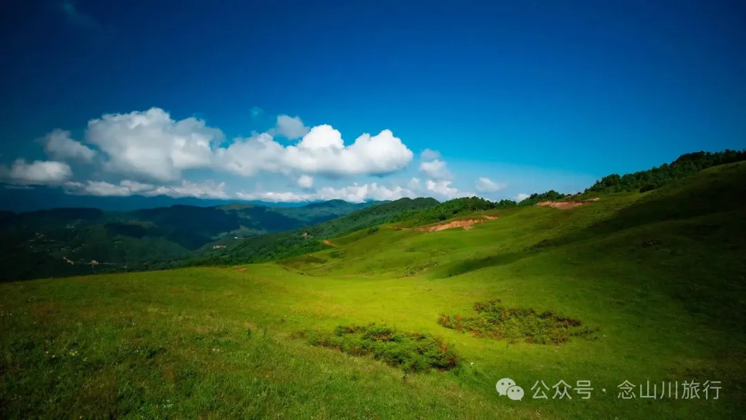 大理南涧百花村大草甸清晨的绝美时刻,是露水与晨曦写的无声诗 - 第19张