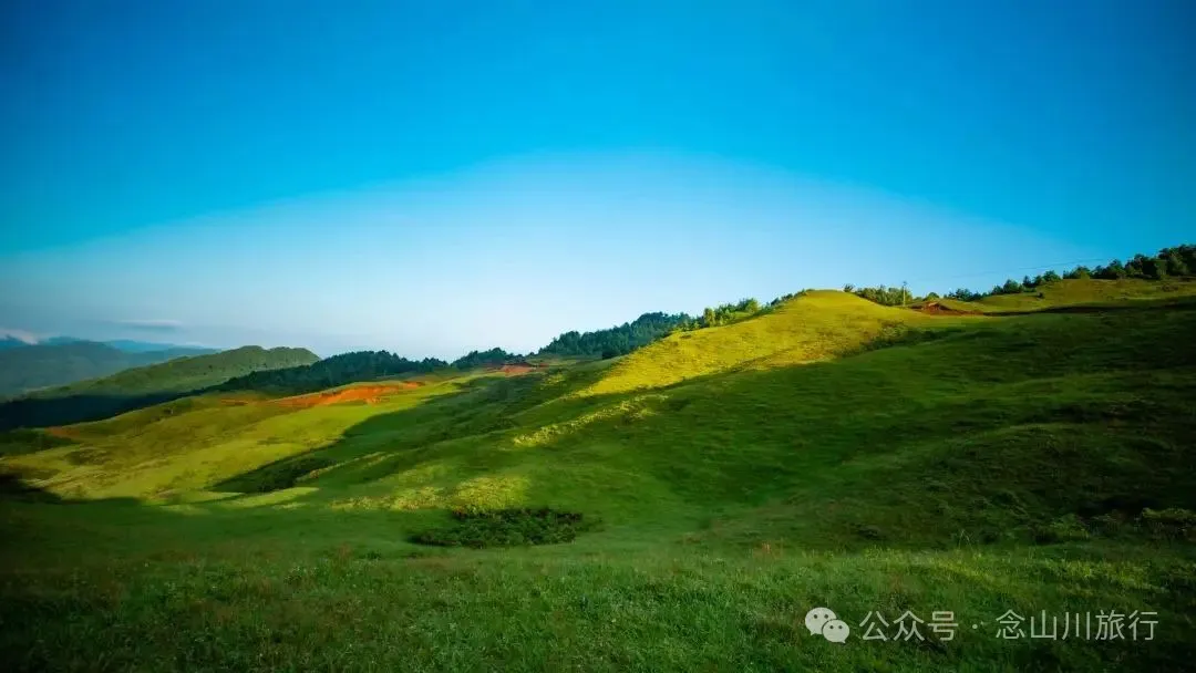 大理南涧百花村大草甸清晨的绝美时刻,是露水与晨曦写的无声诗 - 第2张