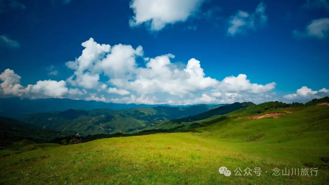 大理南涧百花村大草甸清晨的绝美时刻,是露水与晨曦写的无声诗 - 第20张