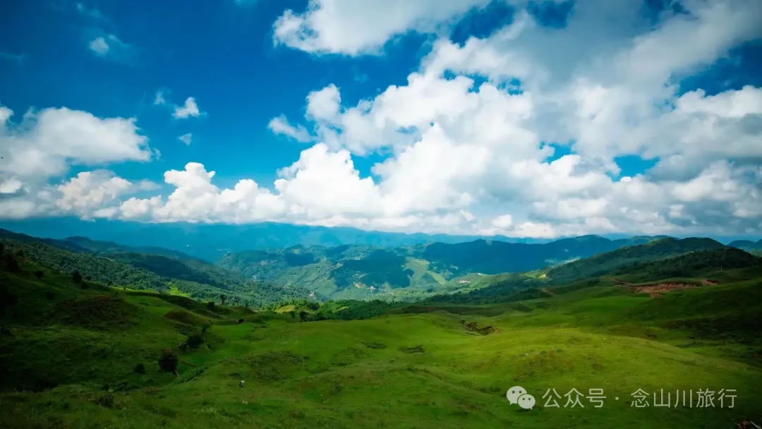 大理南涧百花村大草甸清晨的绝美时刻,是露水与晨曦写的无声诗 - 第21张