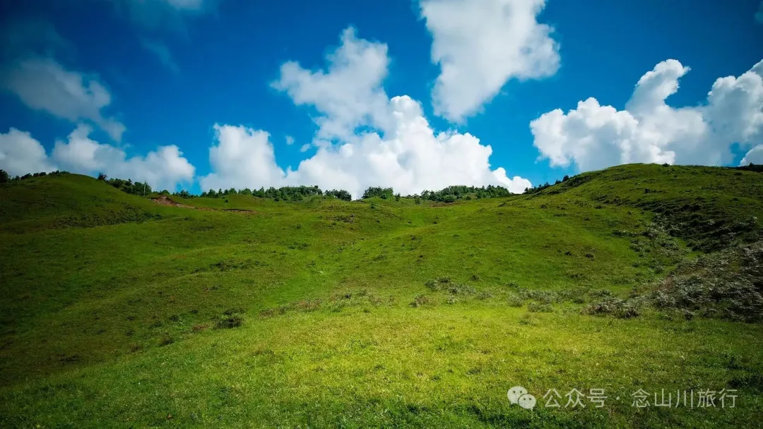 大理南涧百花村大草甸清晨的绝美时刻,是露水与晨曦写的无声诗 - 第22张