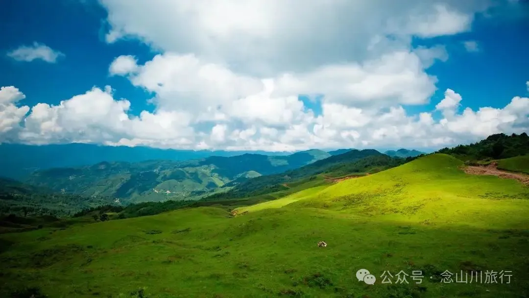 大理南涧百花村大草甸清晨的绝美时刻,是露水与晨曦写的无声诗 - 第23张