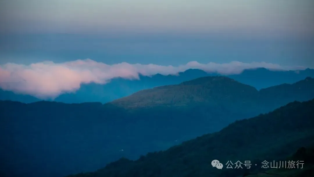 大理南涧百花村大草甸清晨的绝美时刻,是露水与晨曦写的无声诗 - 第6张