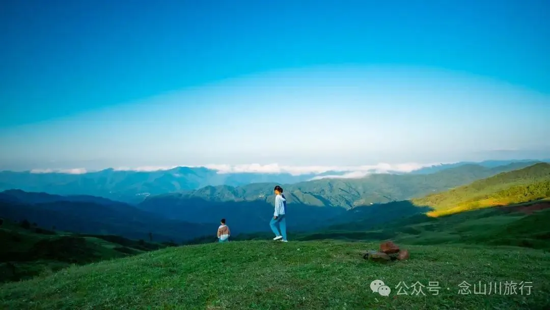 大理南涧百花村大草甸清晨的绝美时刻,是露水与晨曦写的无声诗 - 第7张