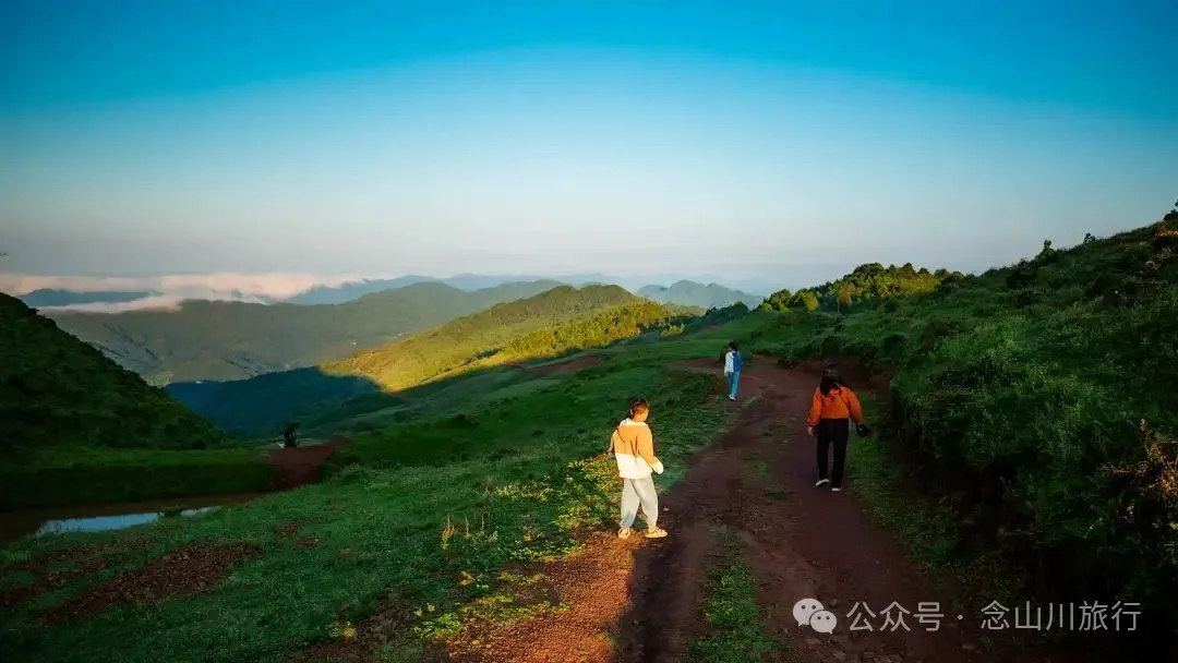 大理南涧百花村大草甸清晨的绝美时刻,是露水与晨曦写的无声诗 - 第8张