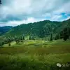 徒步小塘子村与大黄草坝村之间的夏日山野