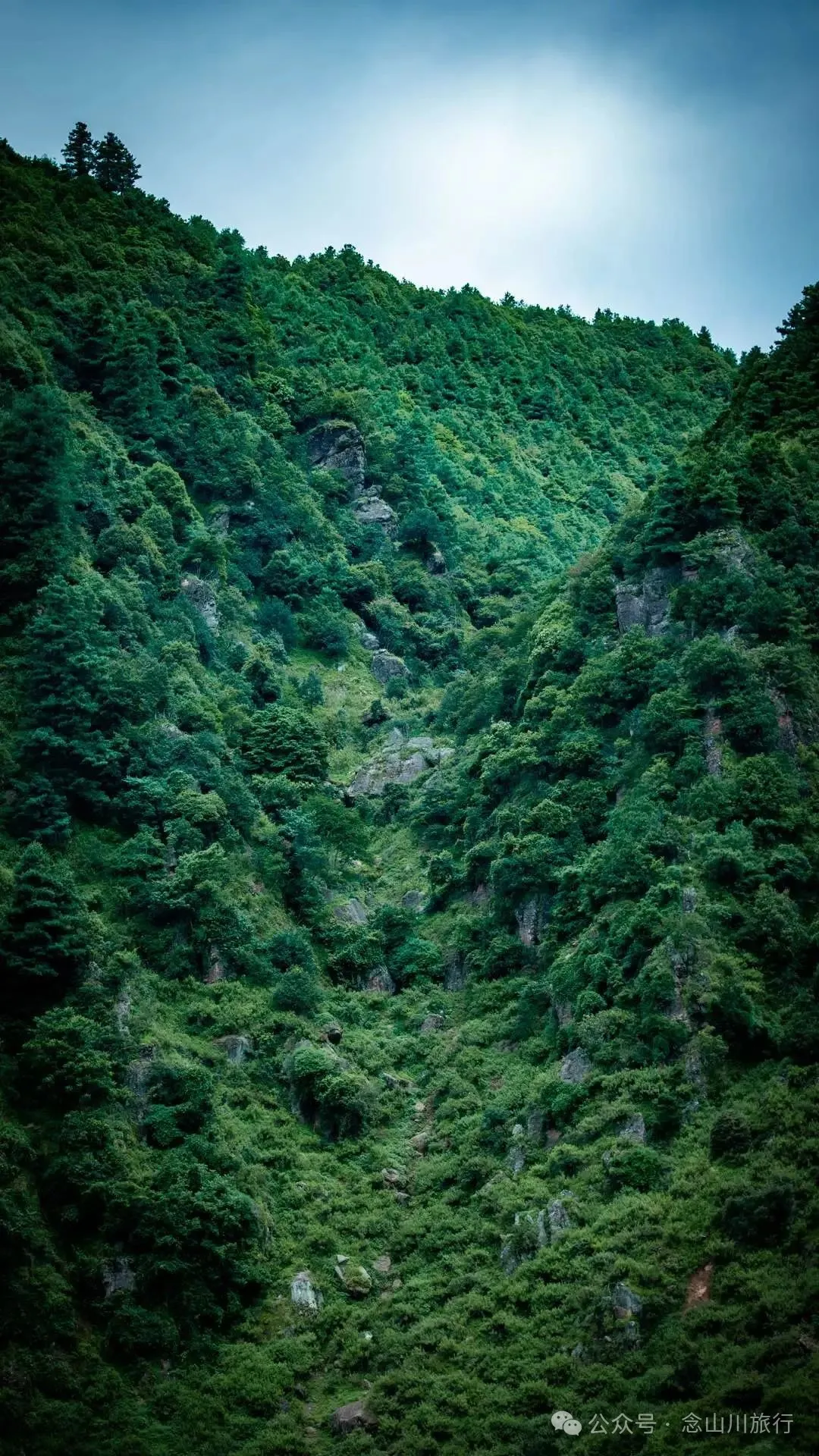 徒步小塘子村与大黄草坝村之间的夏日山野 - 第12张