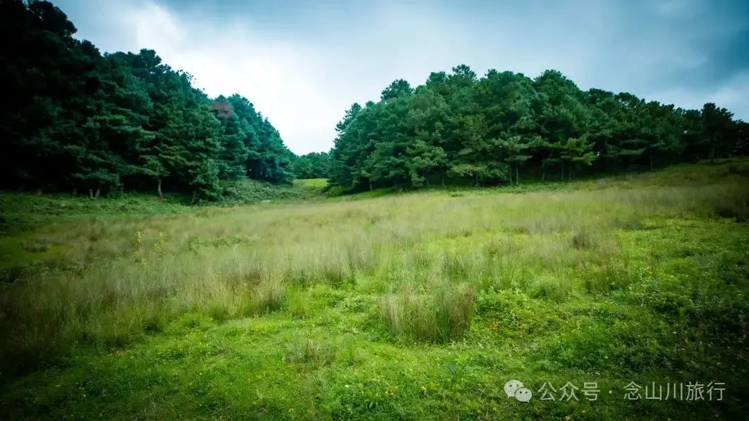 徒步小塘子村与大黄草坝村之间的夏日山野 - 第13张
